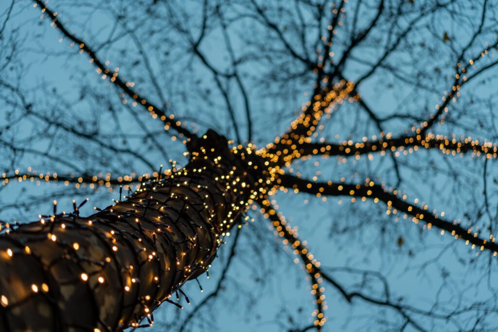 a tree trunk and branches wrapped in small, warm-toned fairy lights, viewed from a low angle looking upwards.