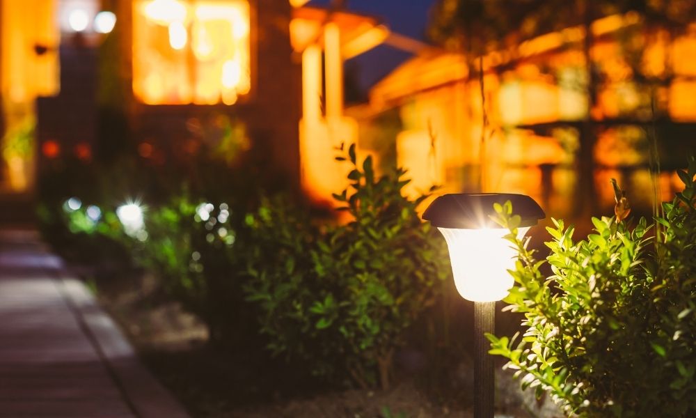 garden lights illuminating a pathway and surrounding greenery.
