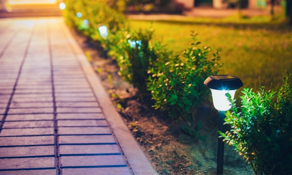 A landscaped backyard path is softly illuminated with floor lighting.