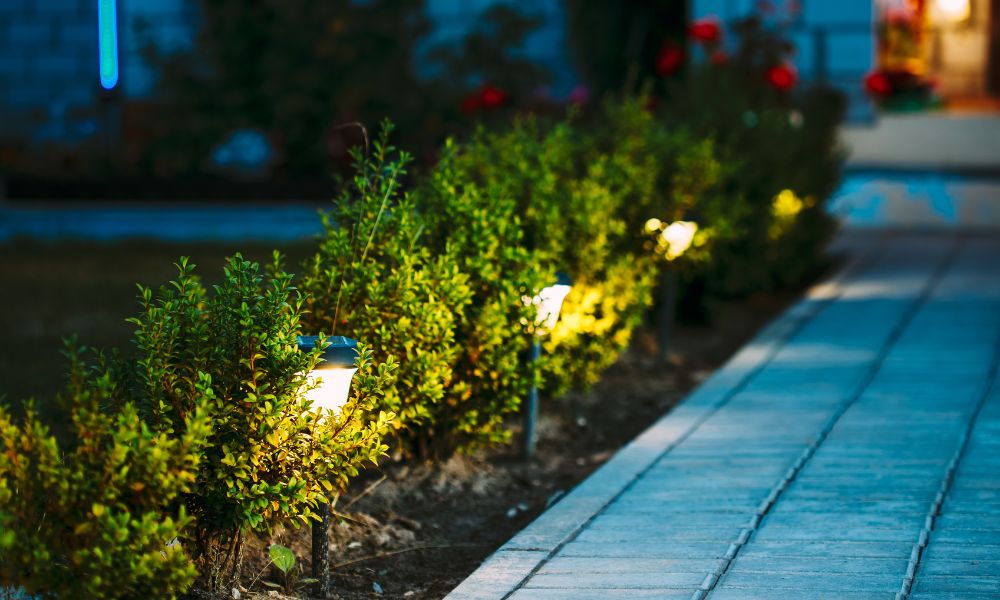 A landscaped backyard path is softly illuminated with floor lighting.